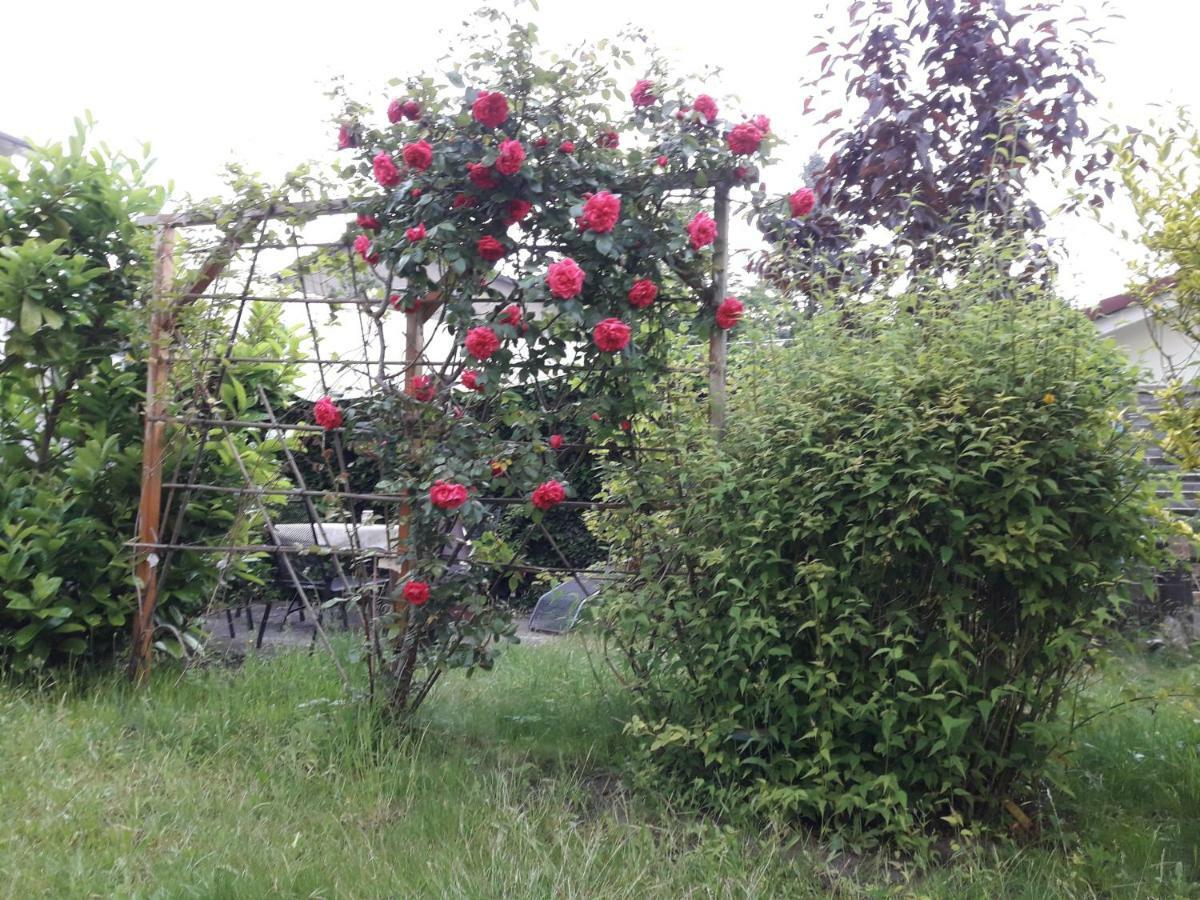 Ferienwohnung Gartenblick Graal-Mueritz Exterior foto